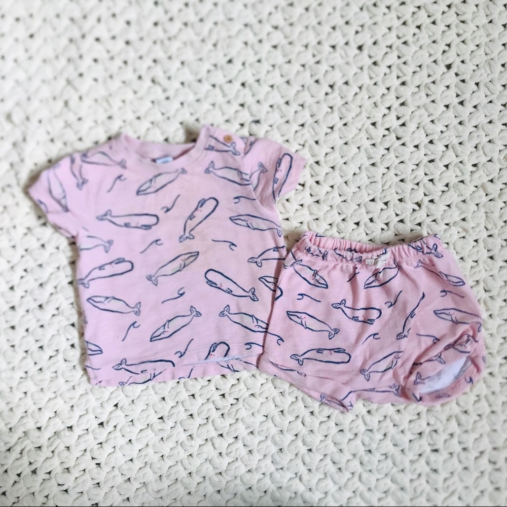 outfit